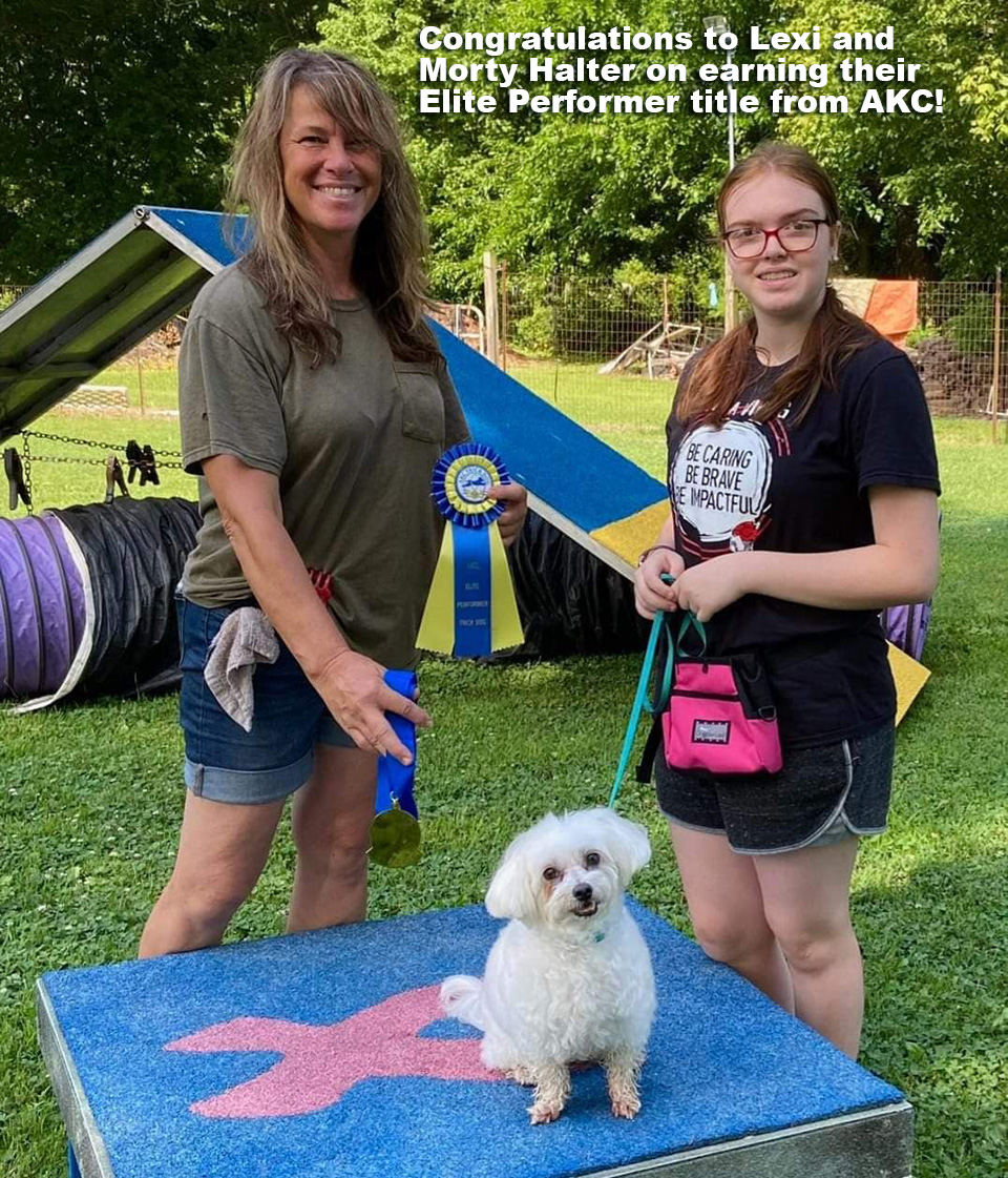 Lexi & Morty with AKC Award.